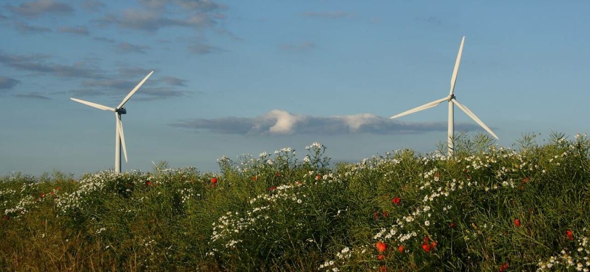 wind-turbine