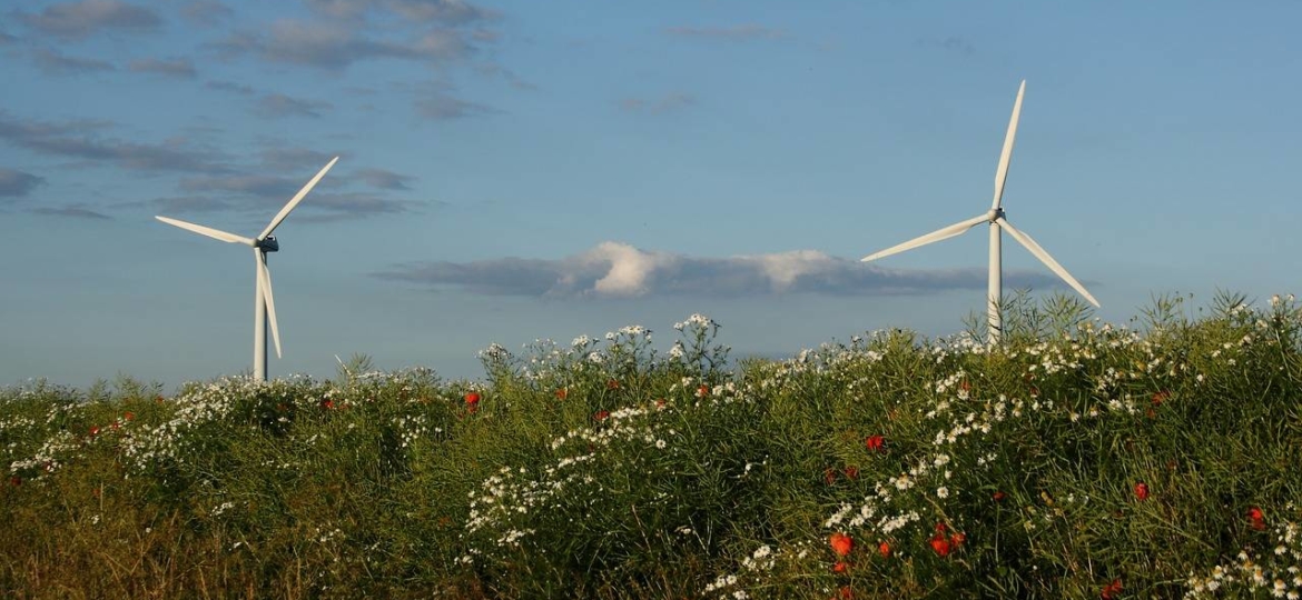 wind-turbine