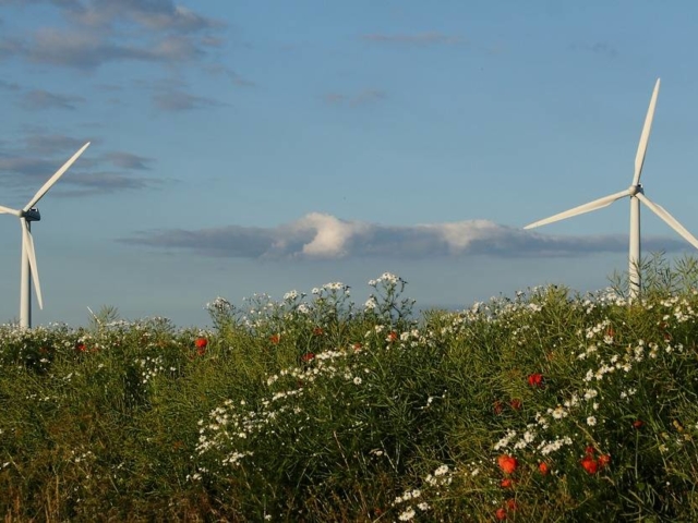 wind-turbine