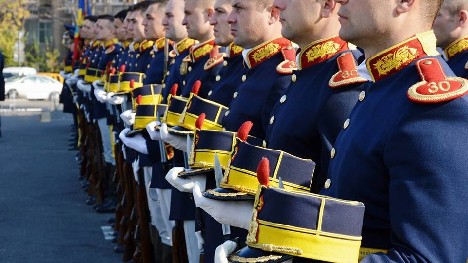 Asociatia Militarilor Veterani AMVVD