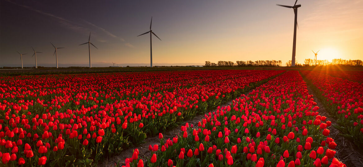 pret pe kilowatt restart energy