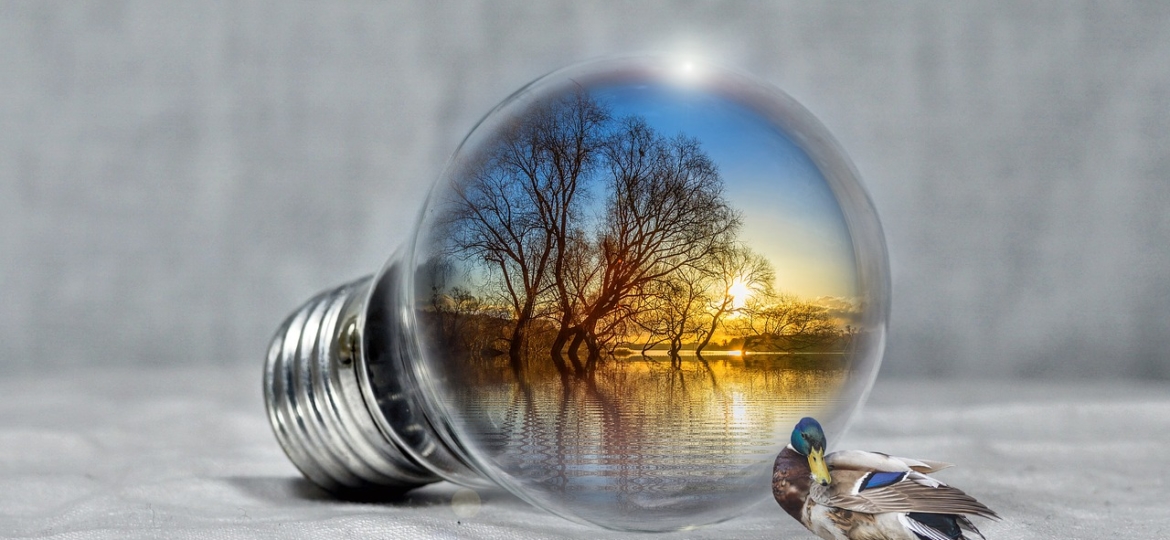 metode de economisire a energiei electrice