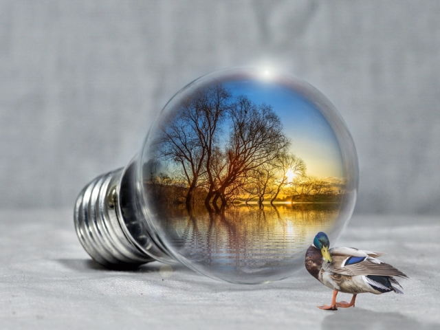 metode de economisire a energiei electrice