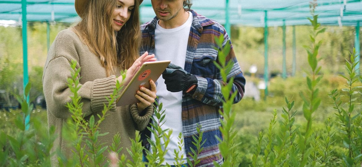 racordarea la reteaua de energie electrica