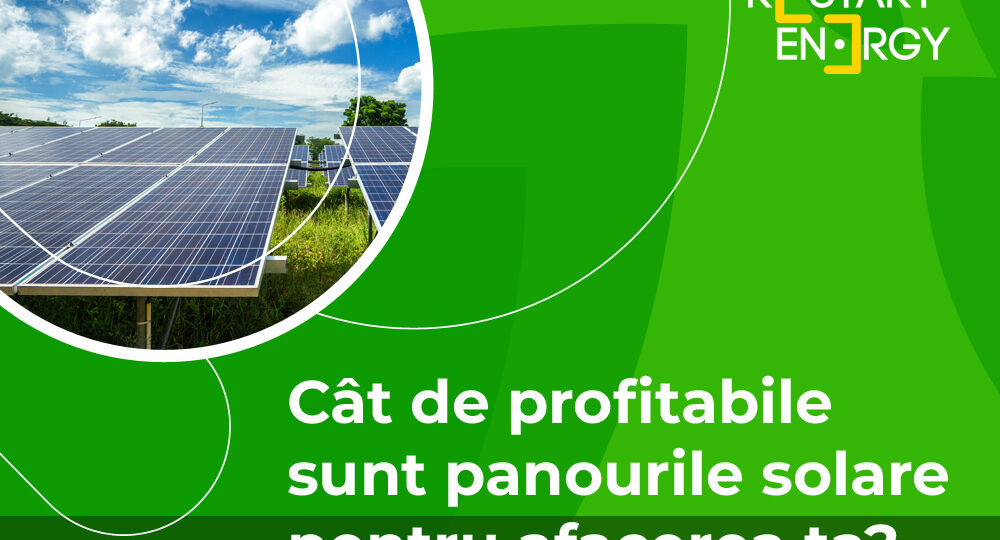Cât de profitabile sunt panourile solare pentru afacerea ta?