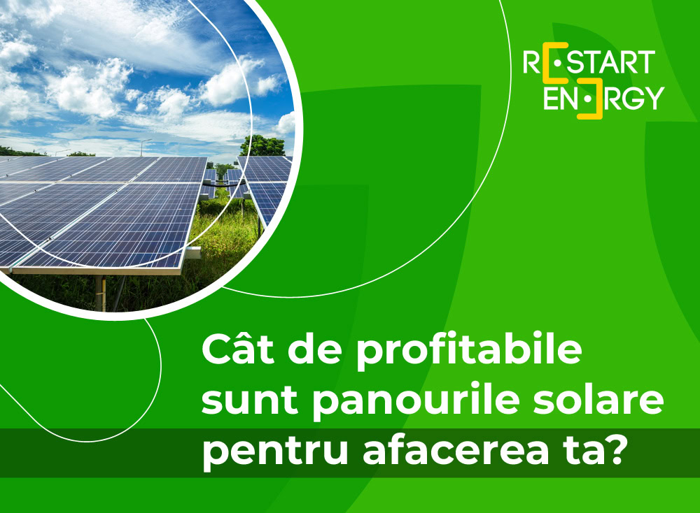 Cât de profitabile sunt panourile solare pentru afacerea ta?