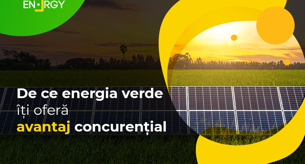 De ce energia verde îți oferă avantaj concurențial