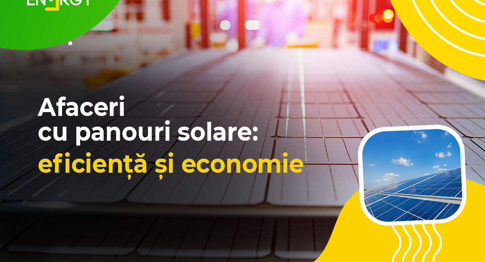 Afaceri cu panouri solare: eficiență și economie