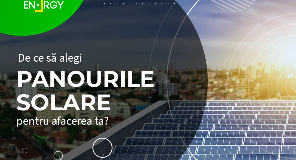 De ce sa alegi panourile solare pentru afacerea ta?