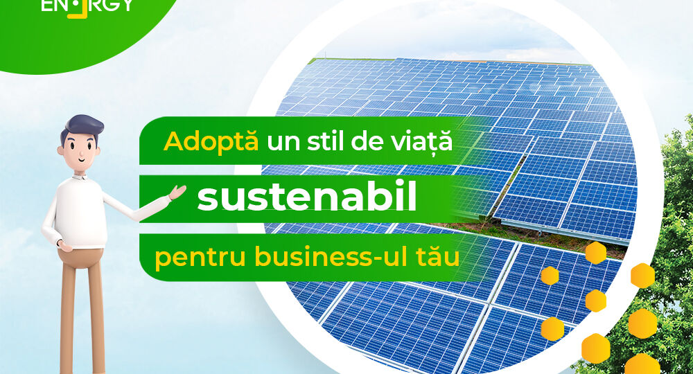 Adoptă un stil de viață sustenabil pentru business-ul tău