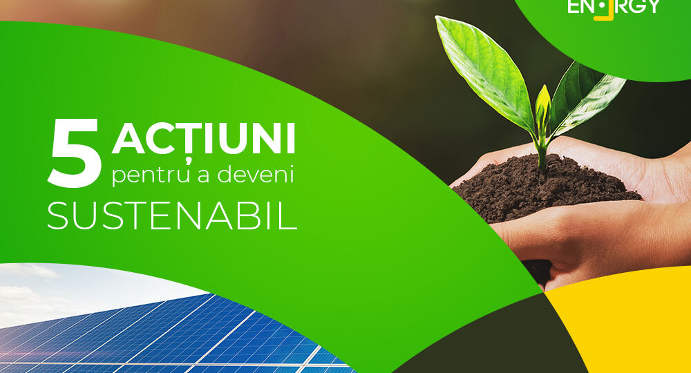 5 acțiuni pentru a avea o afacere sustenabilă