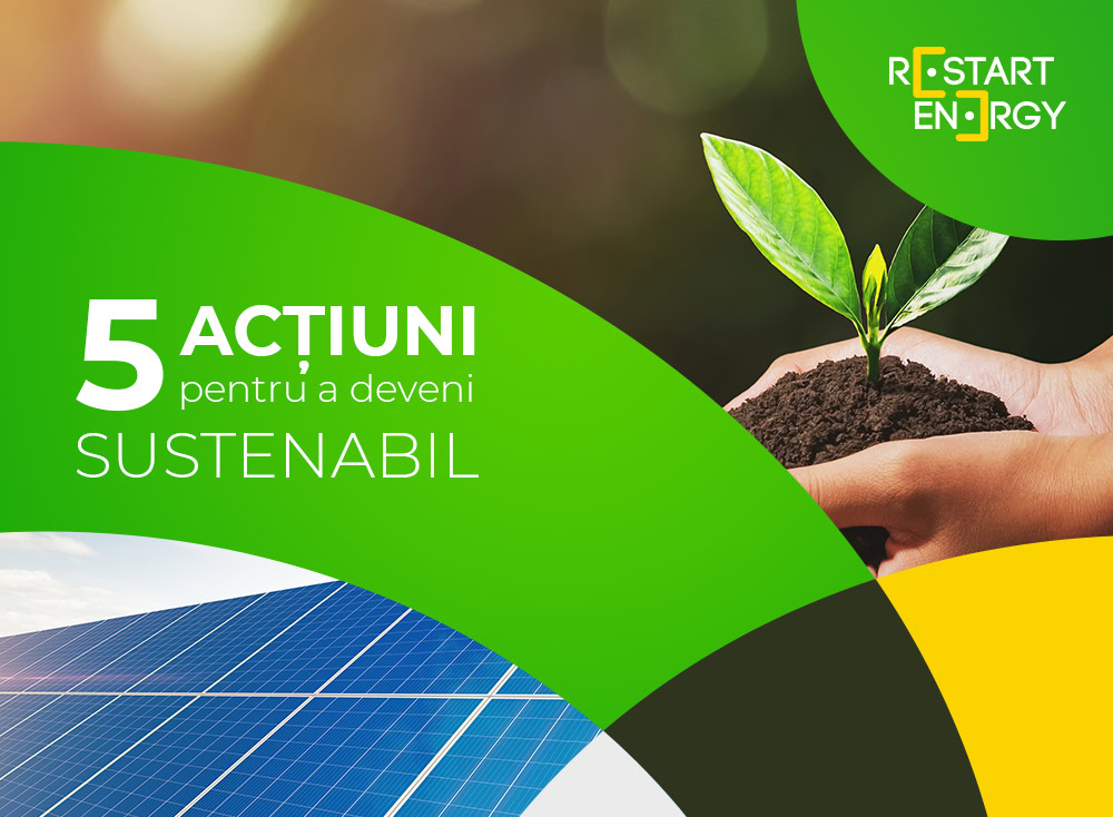 5 acțiuni pentru a avea o afacere sustenabilă