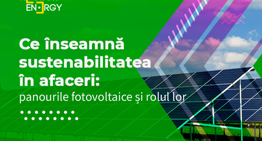 Ce înseamnă sustenabilitatea în afaceri: panourile fotovoltaice și rolul lor