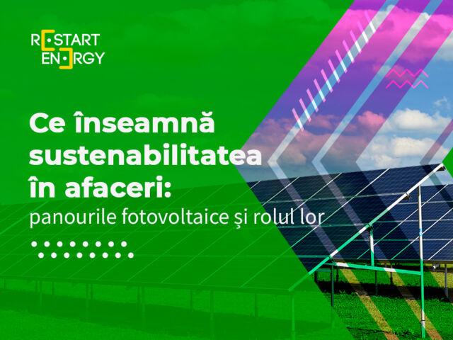 Ce înseamnă sustenabilitatea în afaceri: panourile fotovoltaice și rolul lor