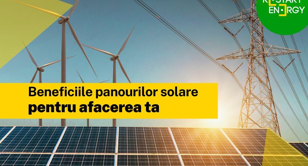 Beneficiile panourilor solare pentru afacerea ta
