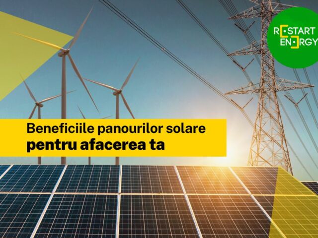 Beneficiile panourilor solare pentru afacerea ta
