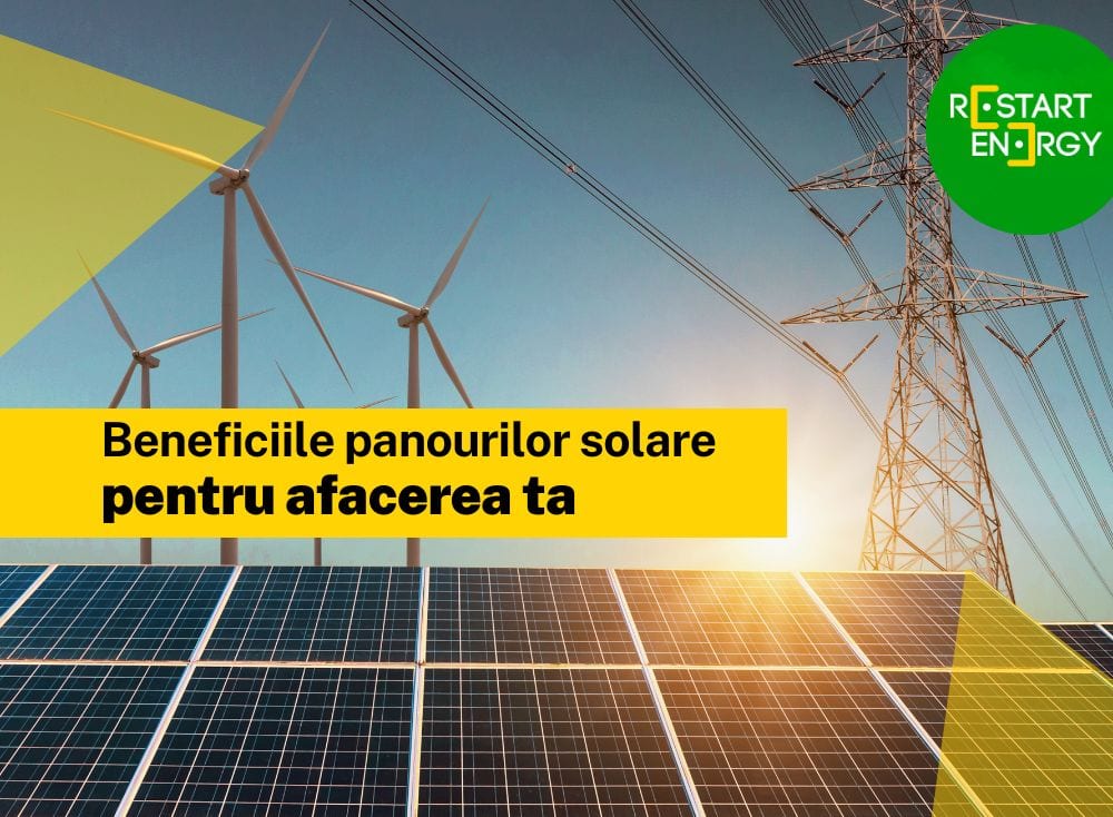 Beneficiile panourilor solare pentru afacerea ta