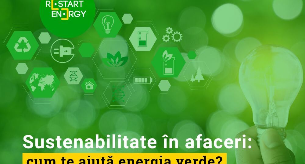 Sustenabilitate în afaceri: cum te ajută energia verde?