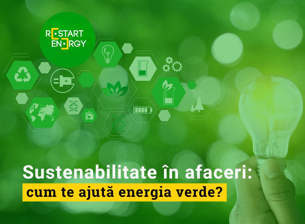 Sustenabilitate în afaceri: cum te ajută energia verde?