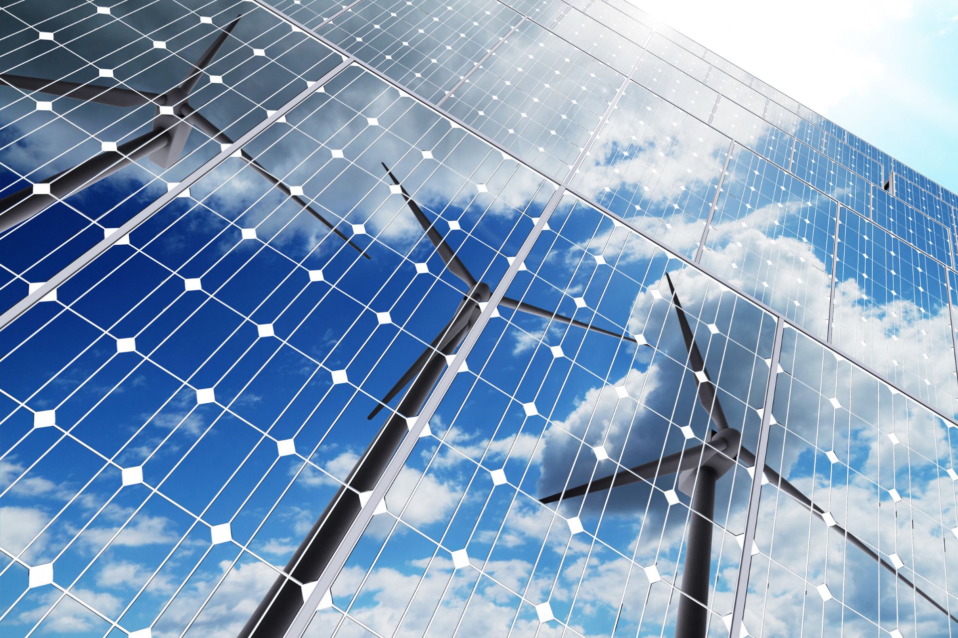 Sustenabilitate în afaceri: cum te ajută energia verde?