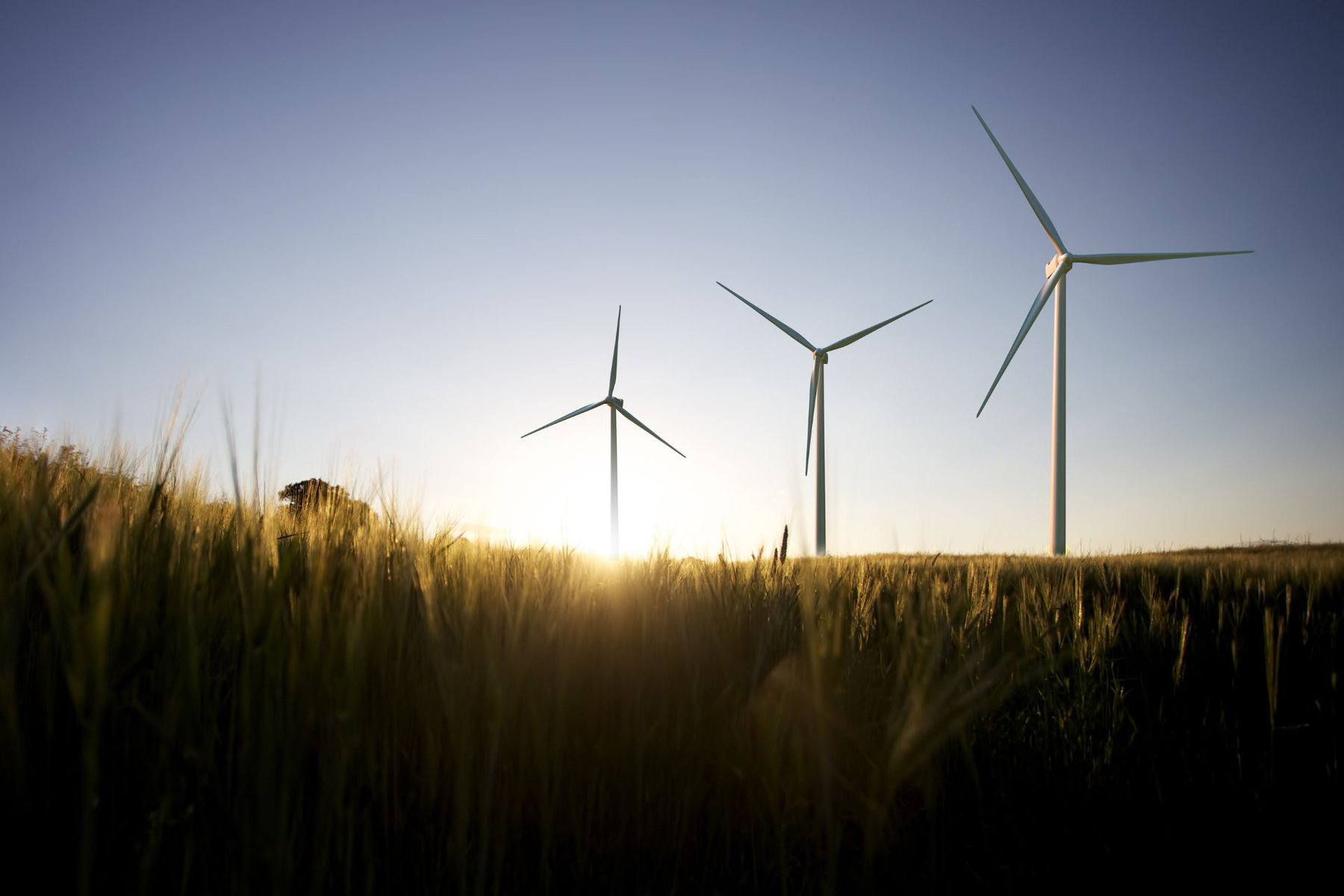 Potențialul energiei verzi: inovație continuă