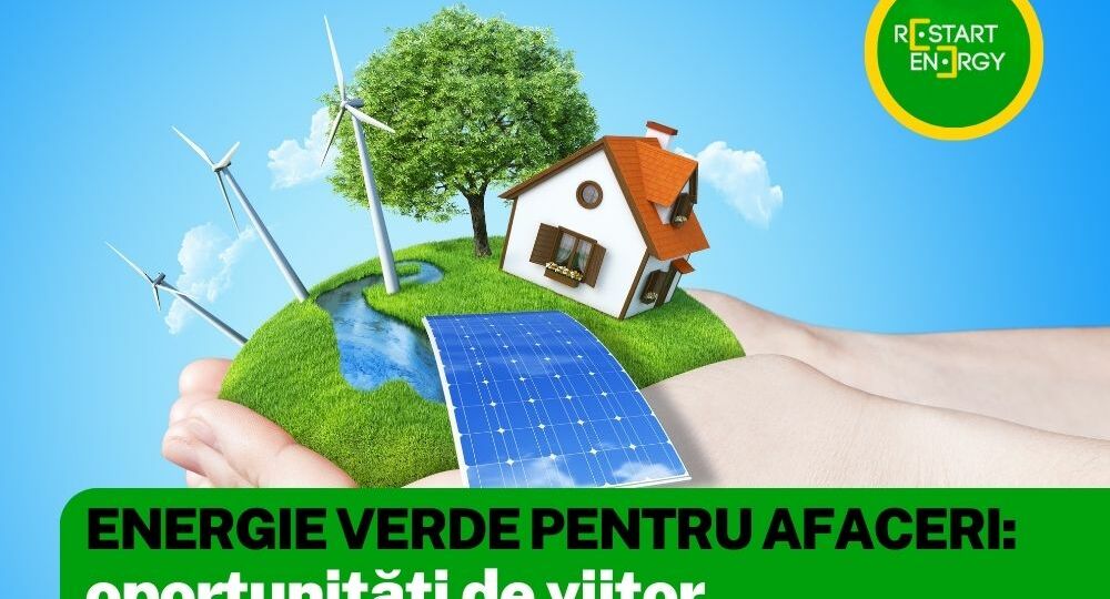 energie-verde-pentru-afaceri-oportunitati-de-viitor