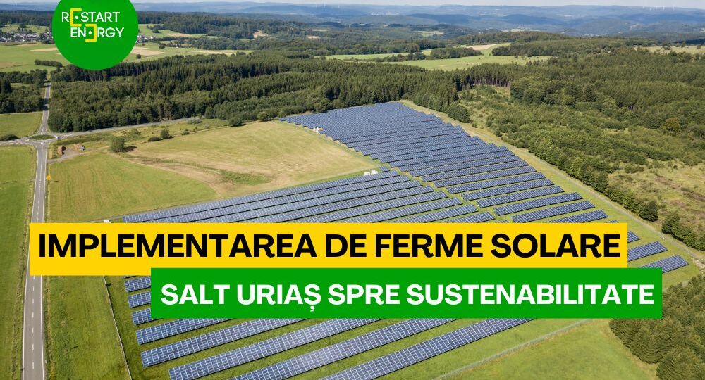 implementarea-de-ferme-solare-salt-urias-spre-sustenabilitate