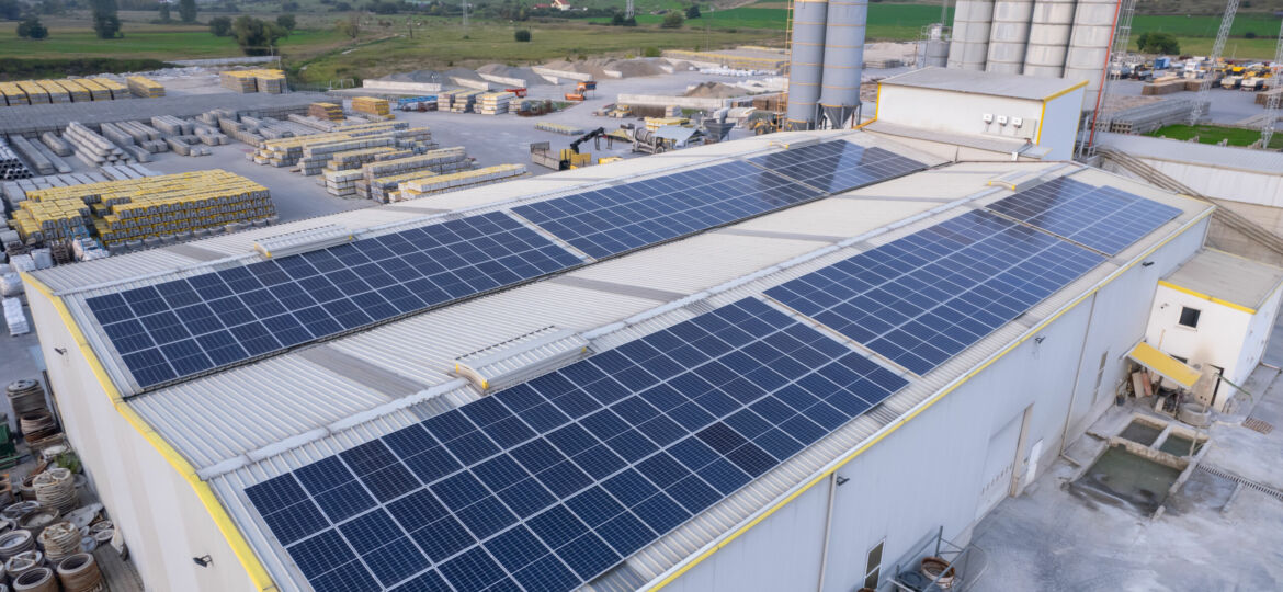 Elis-Pavaje-Petresti-16-of-22