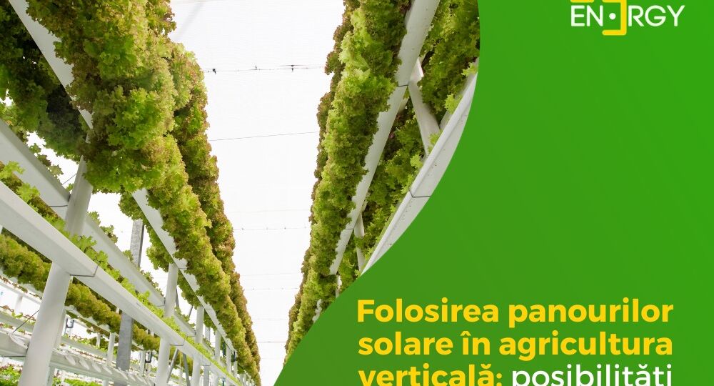 agricultura verticala