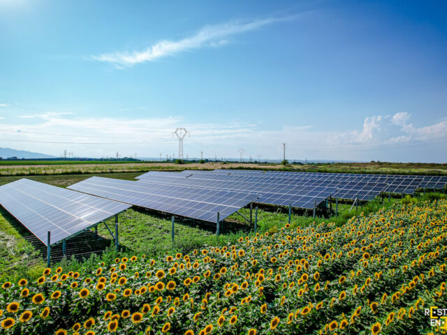 Moldova-Farming-Tisita-2JPG
