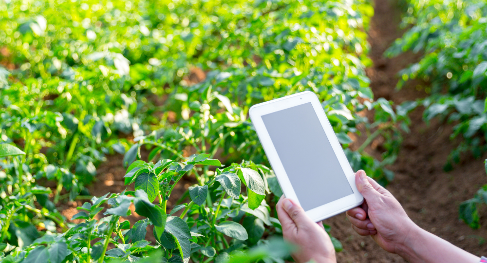 monitorizarea performantei unui sistem solar prin iot