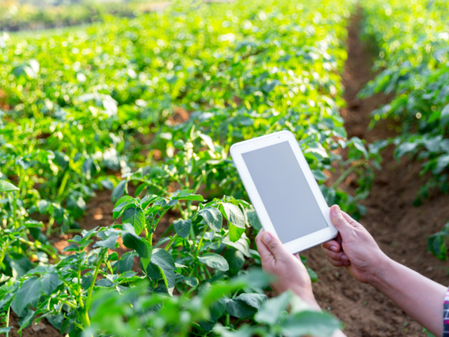 monitorizarea performantei unui sistem solar prin iot